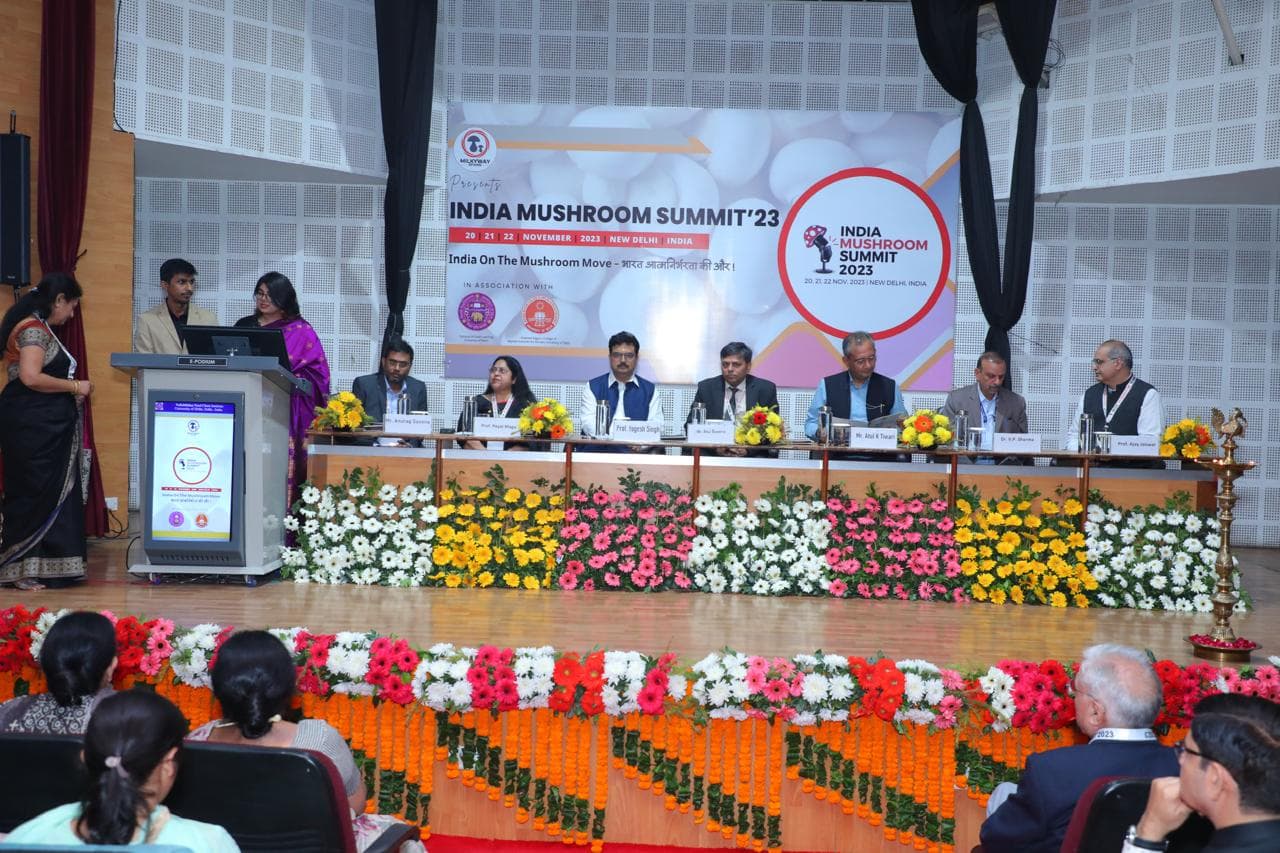 India Mushroom Days Showcase 10