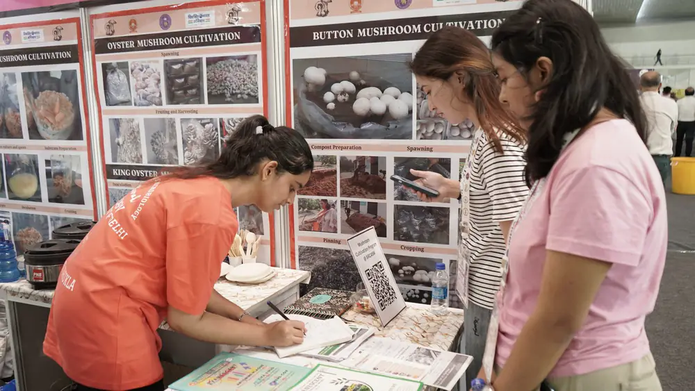 Visitors reading a mushroom cultivation display board