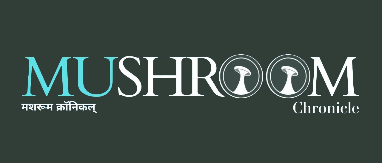 Mushroom Chronicle Official Logo